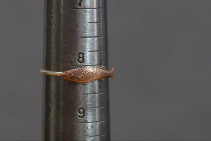 A small copper fish on a silver band, resting on a ring mandrel showing the ring is a size 8 1/4
