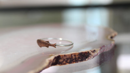 Fish Ring