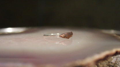 Fish Ring